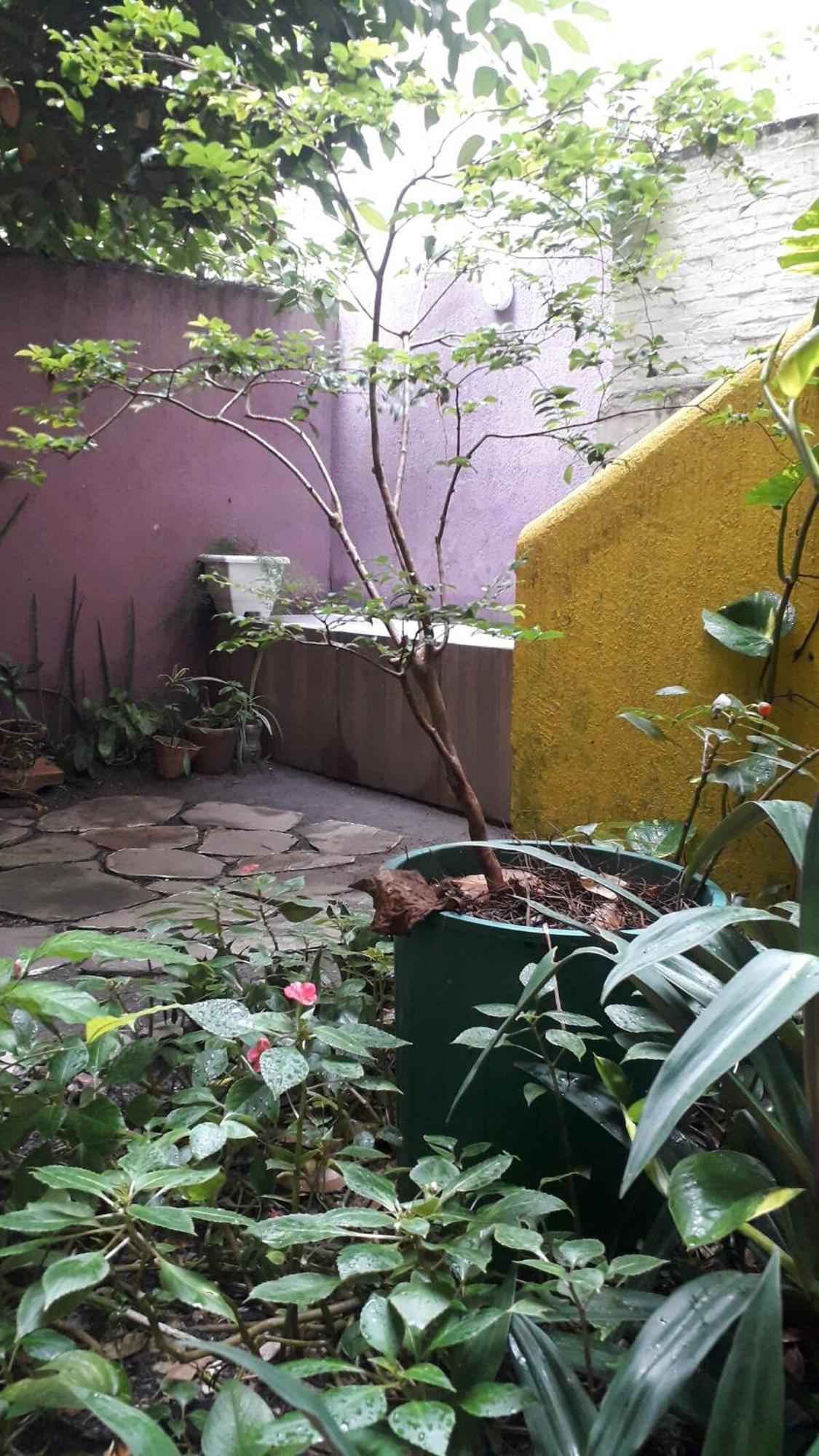 Apartamento Cinnamon - Canela *